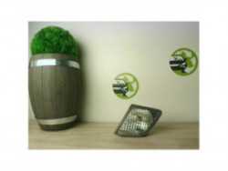 Anti brouillard arriere...