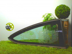 Custode arriere droit...