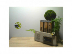 Pare soleil droit SUZUKI...