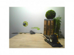 Levier de vitesses RENAULT...