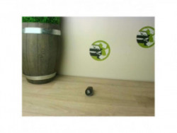 Bouton de demarrage RENAULT...