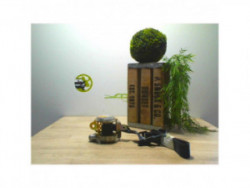 Ceinture avant droit NISSAN...