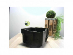 Cache batterie MINI MINI 1...