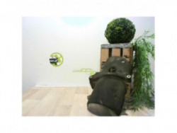 Tole pare feu RENAULT CLIO...