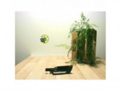 Poignee interieur avant...