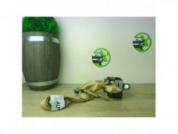 Ceinture arriere droit...