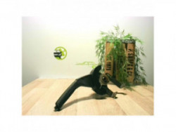 Levier frein à main...