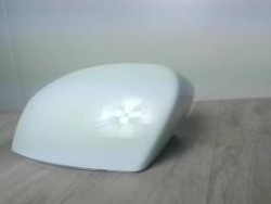 Coquille de retroviseur...