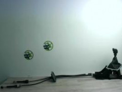 Cable levier de vitesses...