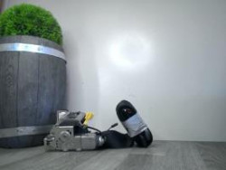 Ceinture avant droit ALFA...