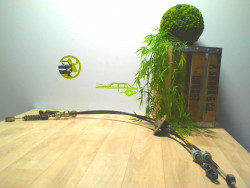 Cable levier de vitesses...