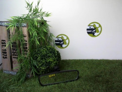 Retroviseur interieur AUDI...