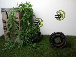 Poulie damper FIAT PUNTO 2...