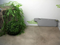 Pare soleil droit TOYOTA...