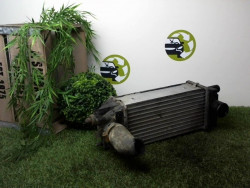 Echangeur air (Intercooler)...