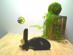 Retroviseur droit SEAT...