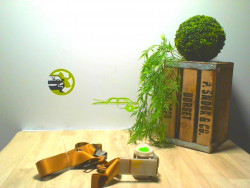 Ceinture avant gauche OPEL...