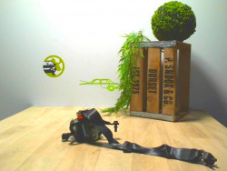 Ceinture arriere droit...