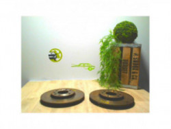 Paire de disques avant...