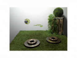 Paire de disques avant...