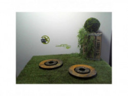 Paire de disques avant...