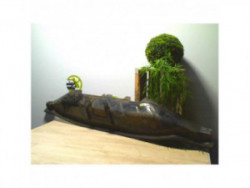 Traverse superieure FORD KA...